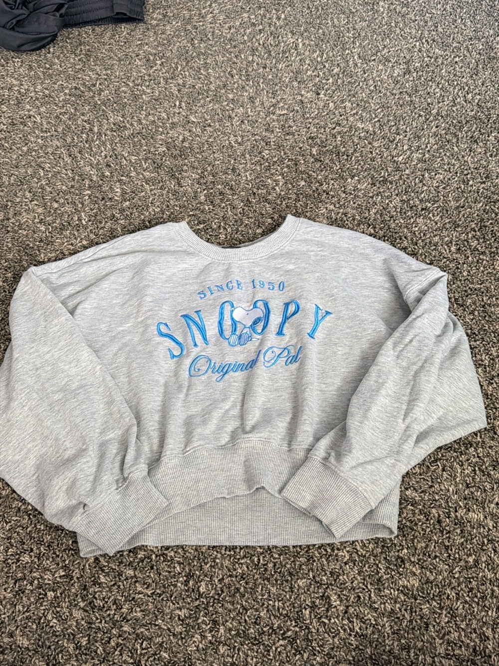Peanuts Snoopy Gray Cropped Sweatshirt and Shorts with Blue Graphic